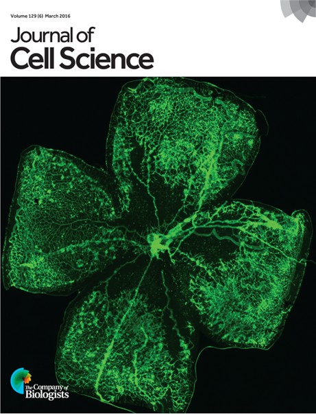 Journal of Cell Science